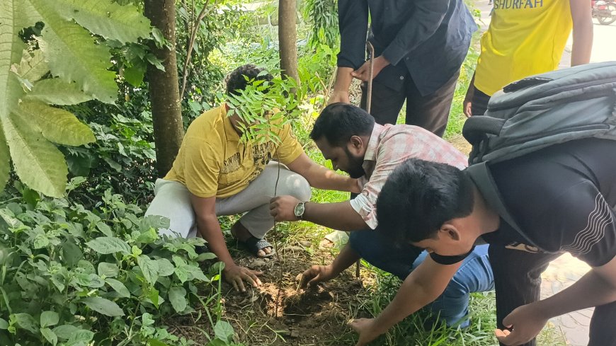 বিএনপির ৪৬ তম প্রতিষ্ঠা বার্ষিকী উপলক্ষে বাগেরহাট জেলা ছাত্রদলের উদ্যোগে বৃক্ষ রোপণ।