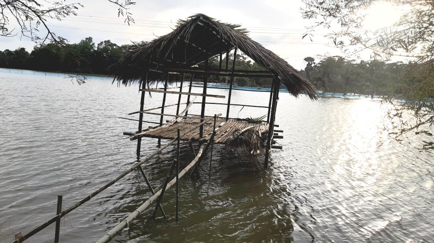 রামপালে নিরিহ শিক্ষকের বৈধ জমি দখল চেষ্টার অভিযোগ