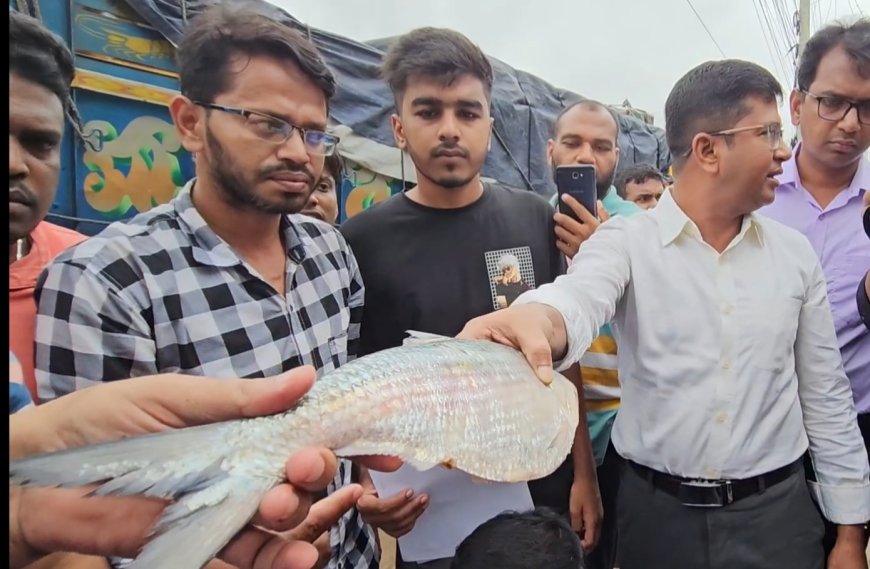 বেনাপোল বন্দর দিয়ে ৫ চালানে ২৭৬ টন ইলিশ রপ্তানি ভারতে