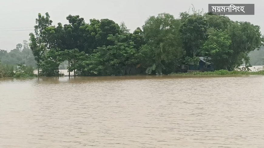 পানি কমলেও চরম দুর্ভোগে ময়মনসিংহ, শেরপুর ও নেত্রকোণার বানভাসীরা