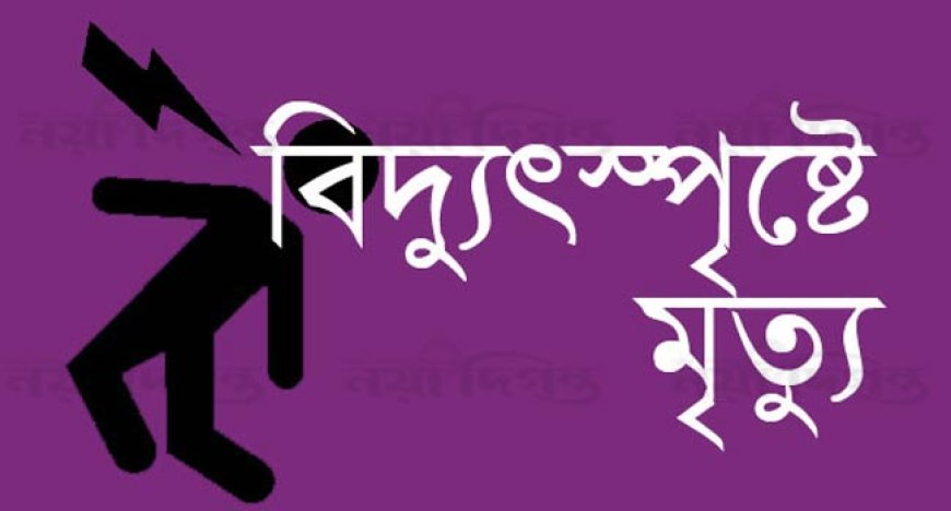 চৌগাছায় বিদ্যুৎস্পষ্টে হয়ে এক জনের মৃত্যু