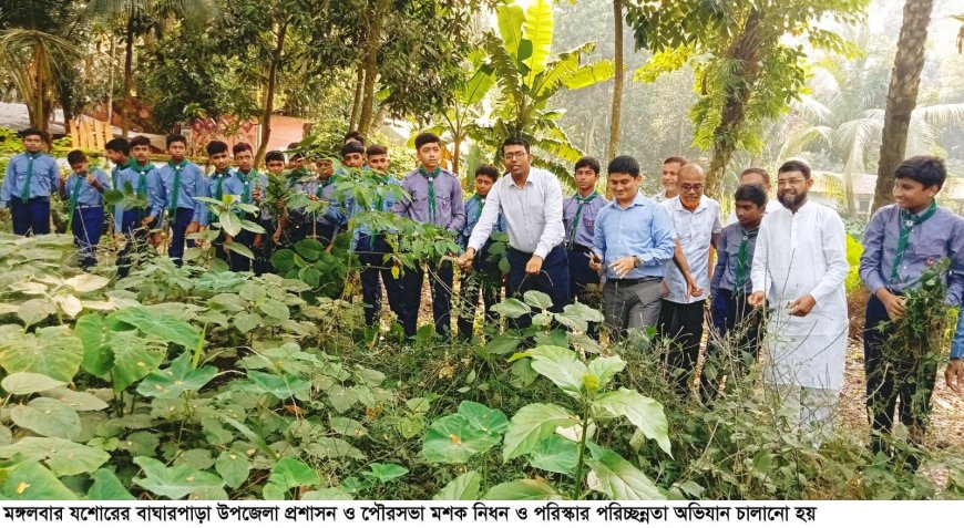 বাঘারপাড়ায় মশক নিধন ও পরিস্কার পরিচ্ছন্নতা অভিযান