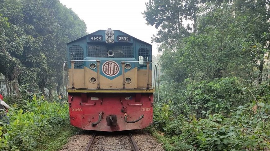 দাম নিয়ন্ত্রণে সবজি পরিবহন করবে ট্রেন