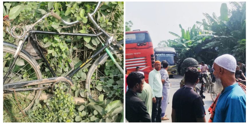 নড়াইল মহাসড়কে বাস চাপায় প্রাণ গেলো এক বৃদ্ধর