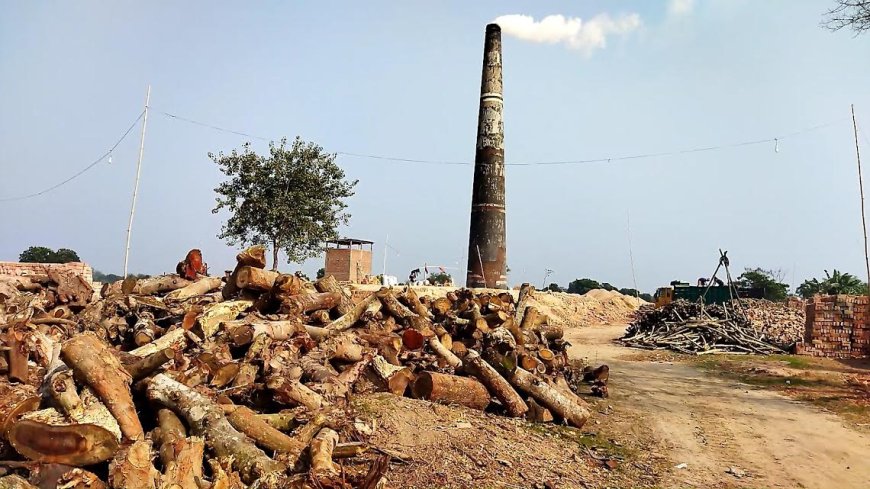 ইটভাটায় যাচ্ছে কৃষি জমির উর্বর মাটি কমছে খাদ্য উৎপাদন, ধ্বংস হচ্ছে সড়ক, বাড়ছে স্বাস্থ্যঝুঁকি