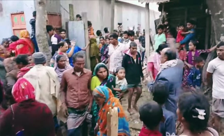 দৌলতদিয়ায় অগ্নিকান্ডে ঘর ও পশু ভস্মিভূত হয়ে নিঃস্ব দুই পরিবার