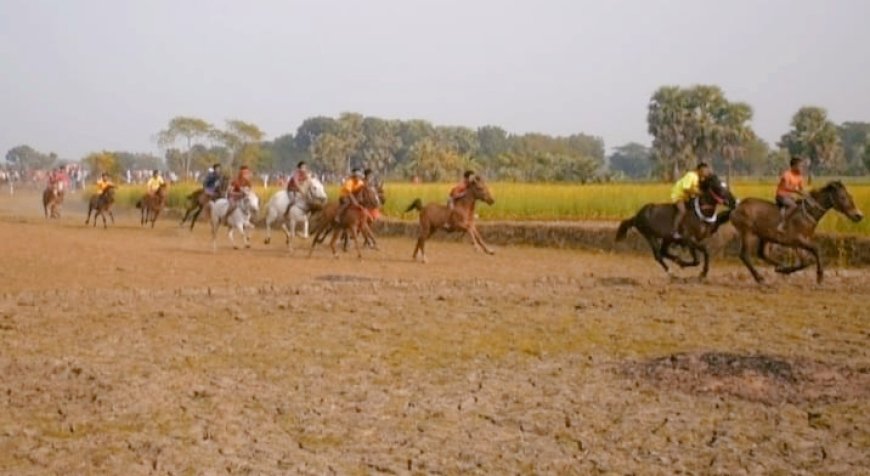 নড়াইলে ঐতিহবাহী ঘোড়দৌড় প্রদিযোগিতা