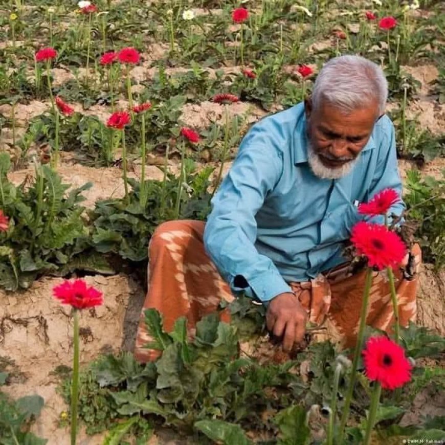 চলে গেলেন ফুল চাষের জনক শের আলী সরদার